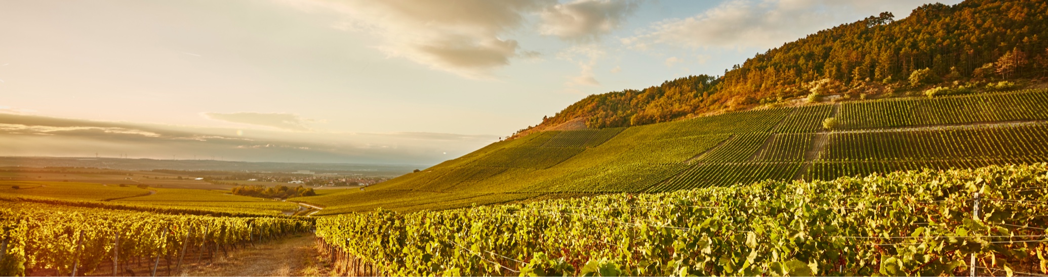Weingut Hans Wirsching KG