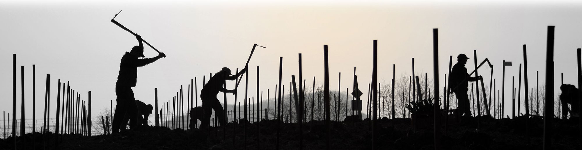 Weingut Heinrich-Josef Zahn