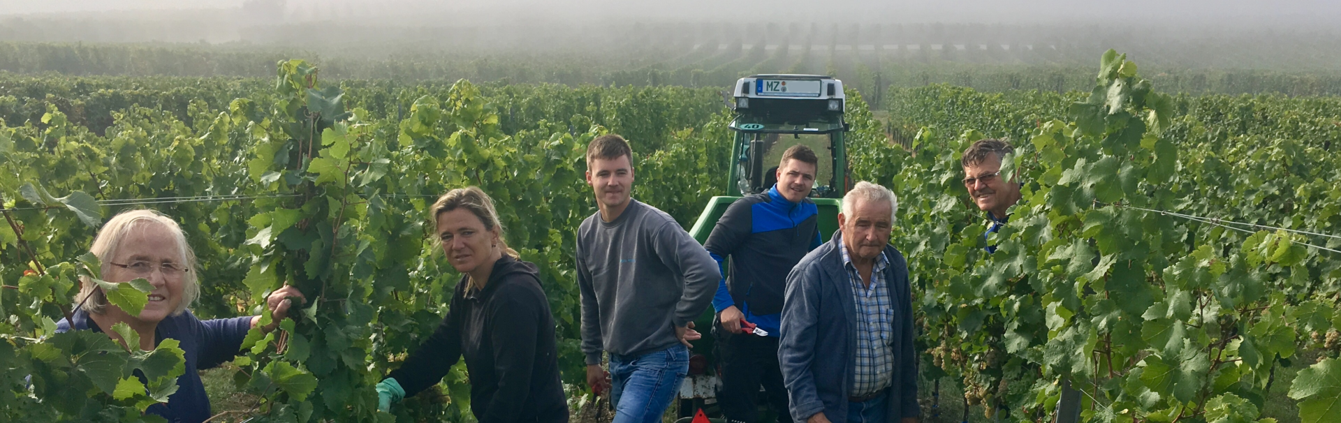 Weingut Mossel Mentz