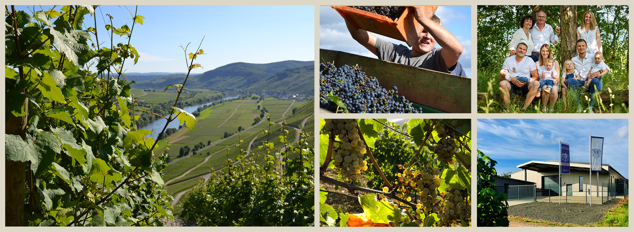 Weingut Mathy-Schanz