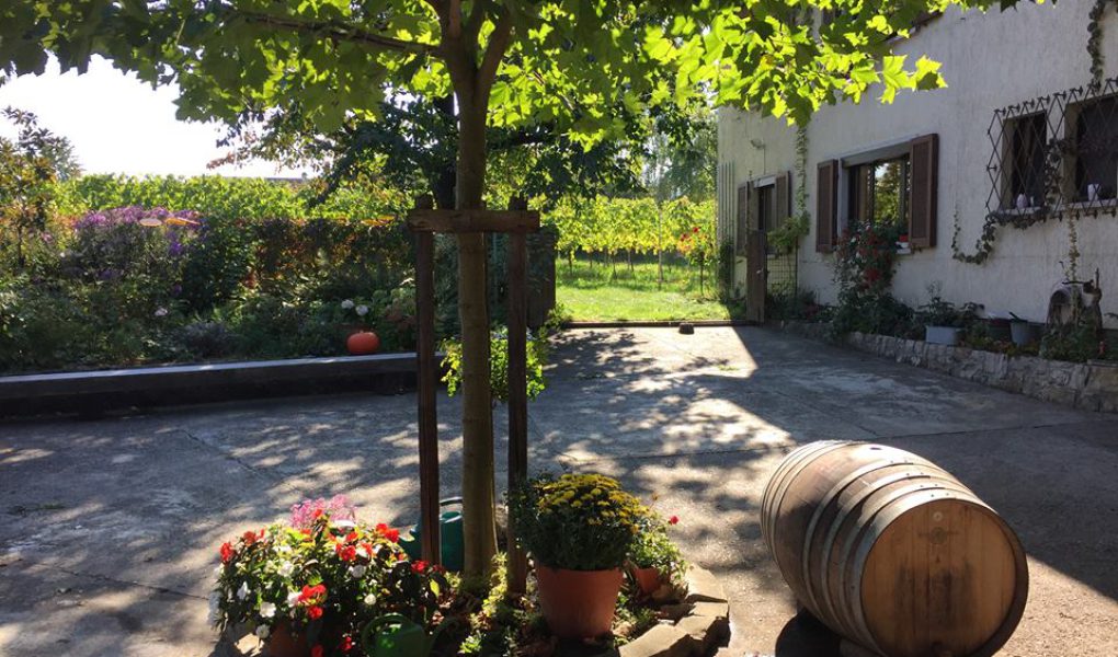 Weingut Armin Göring