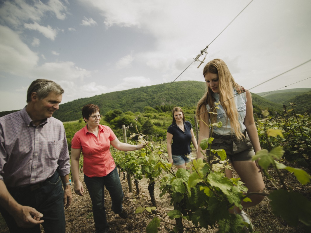 Weingut Steigerhof