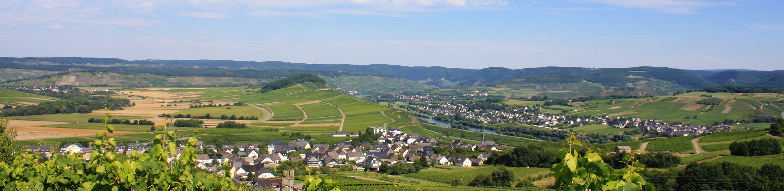 Weingut und Ferienwohnung Thomas Hoffmann