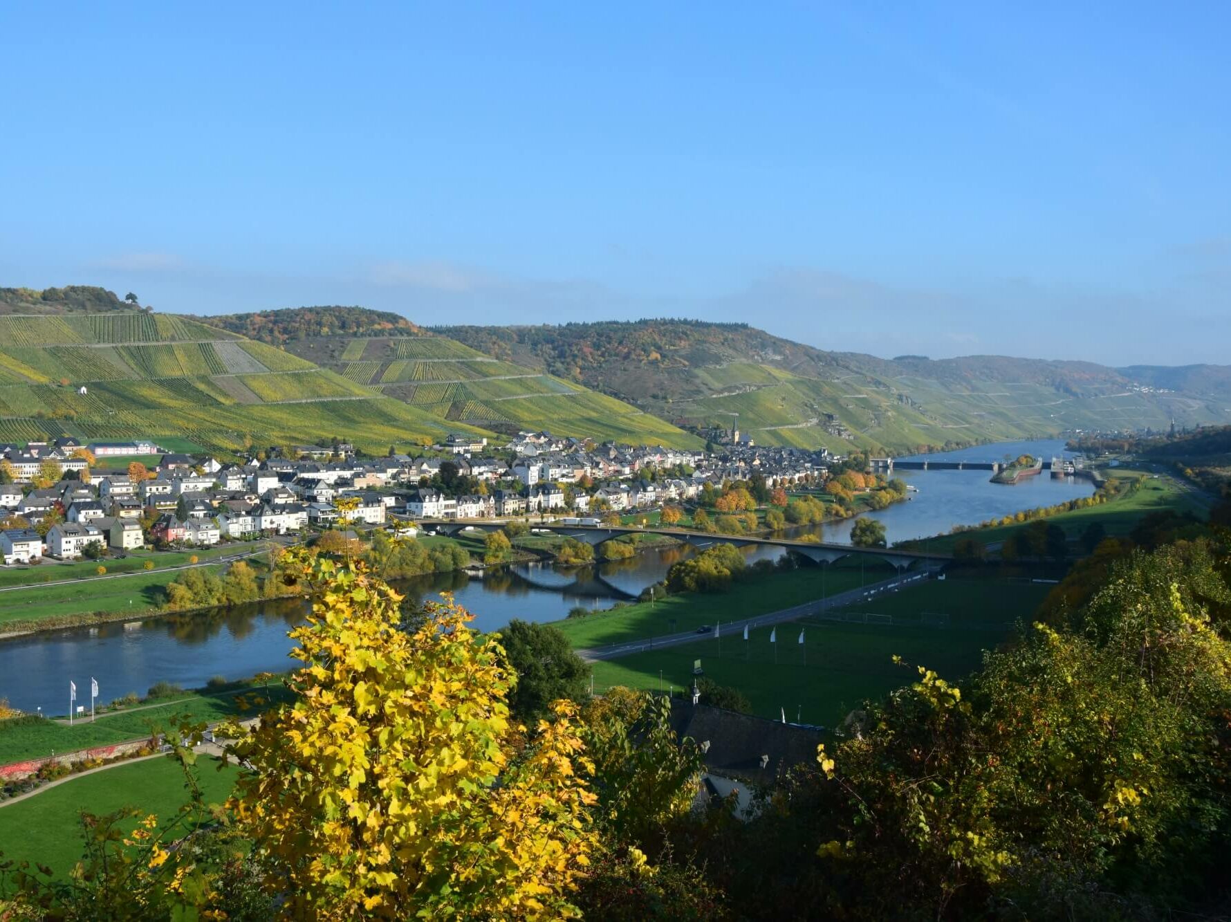 Weingut Leos