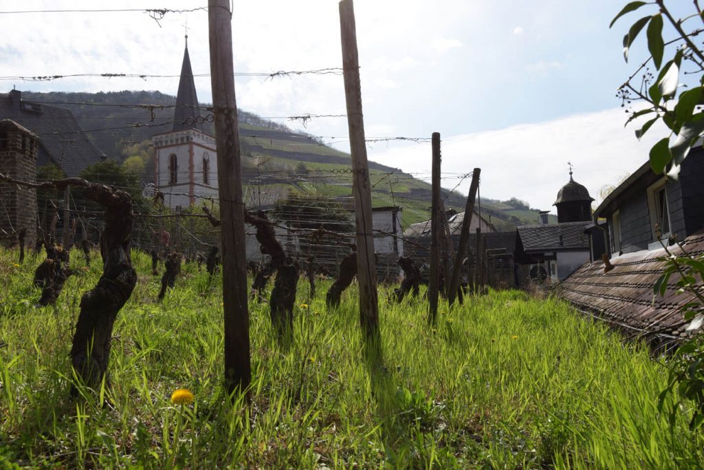 Weingut August Kesseler