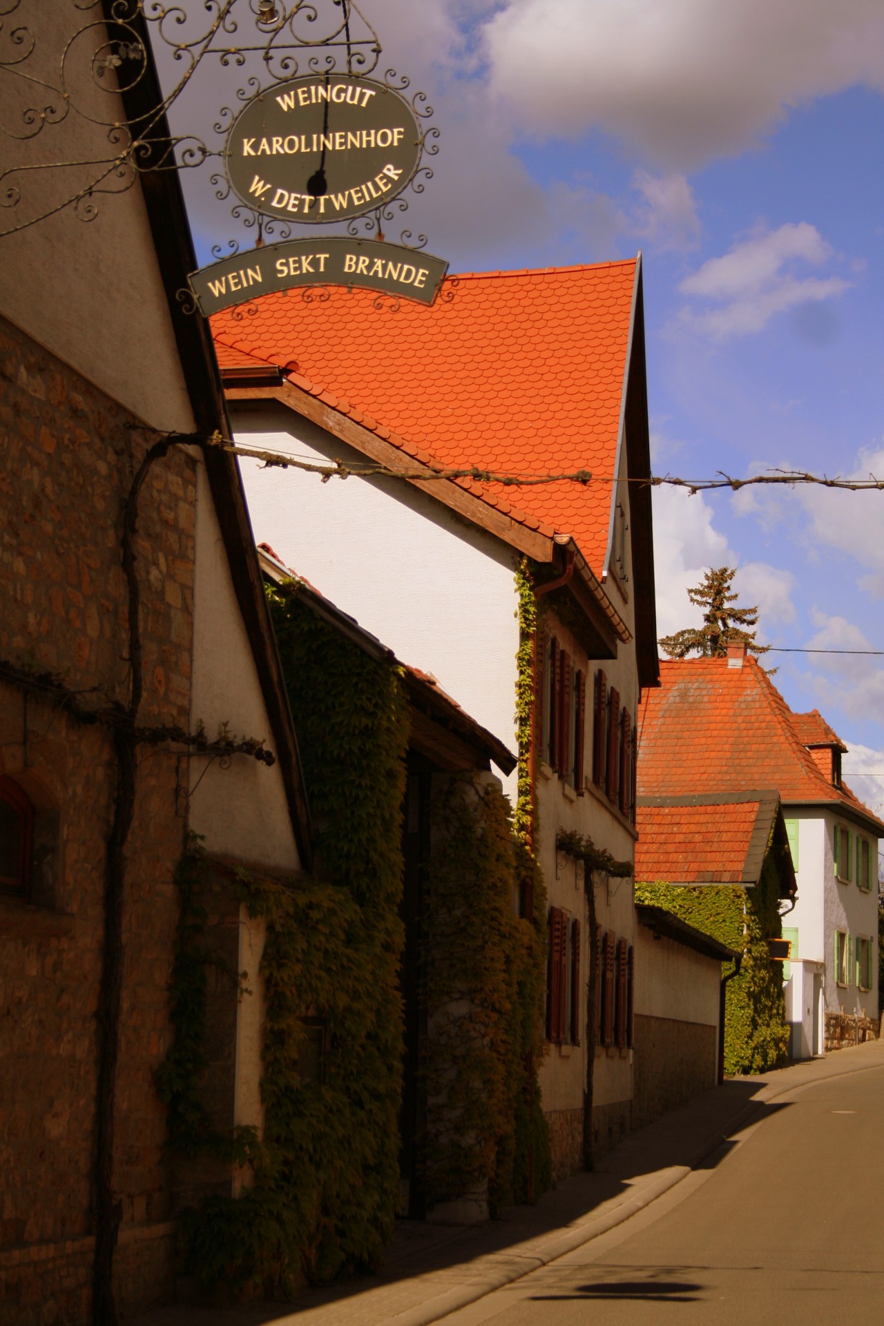Weingut Dettweiler Karolinenhof