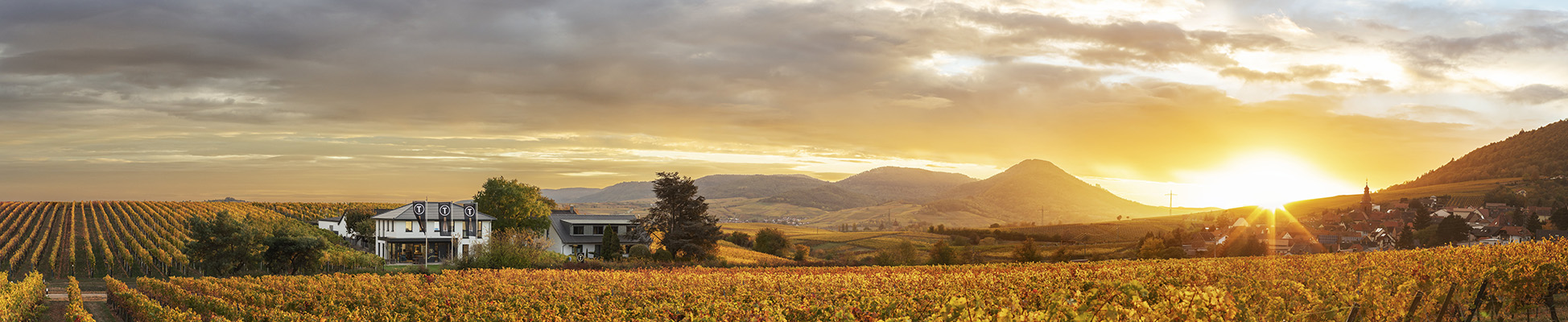 Weingut Tina Pfaffmann
