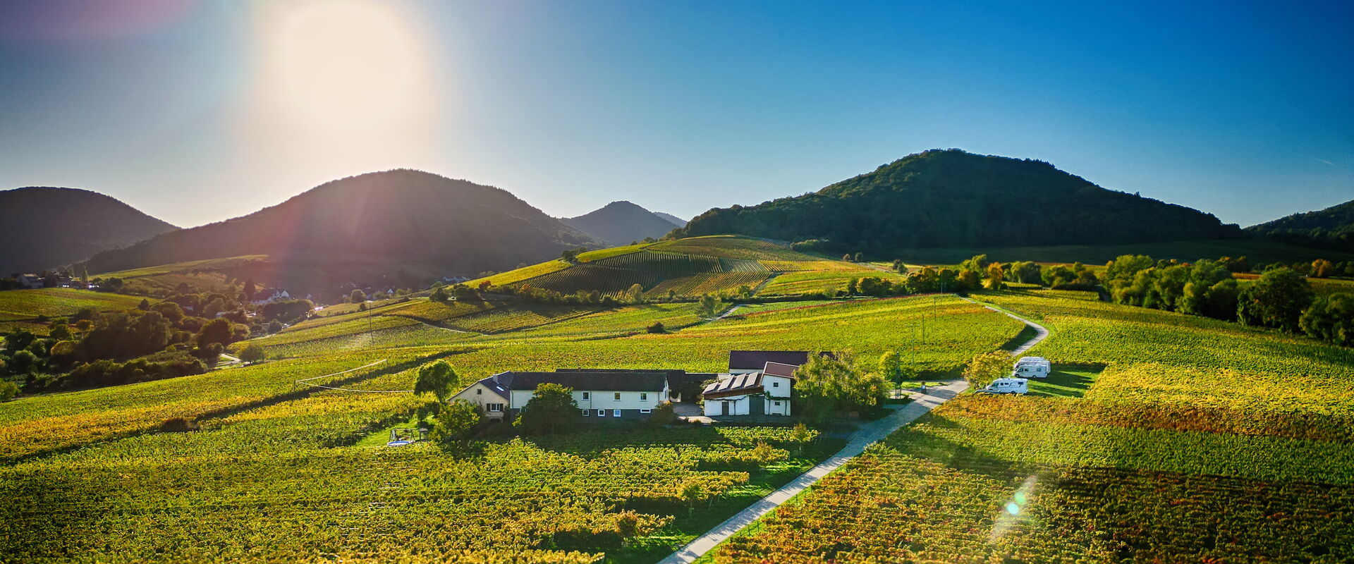 Weingut Dr. Erlenwein