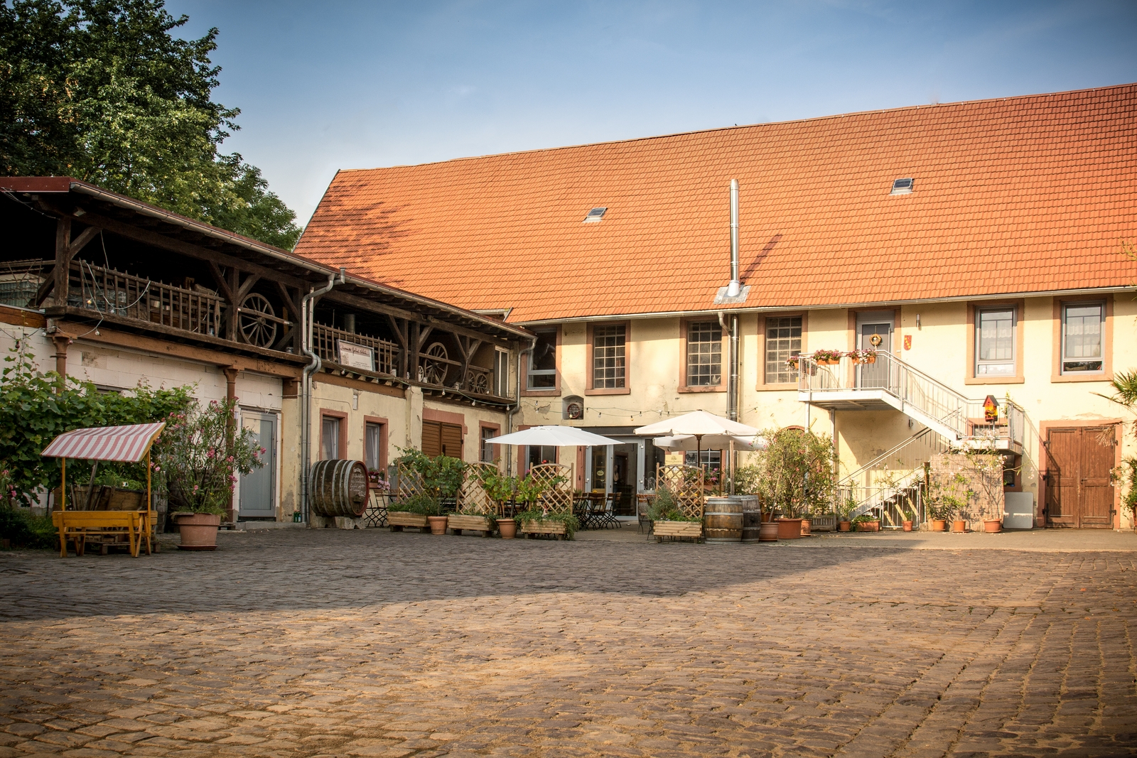 Weingut Holzmühle