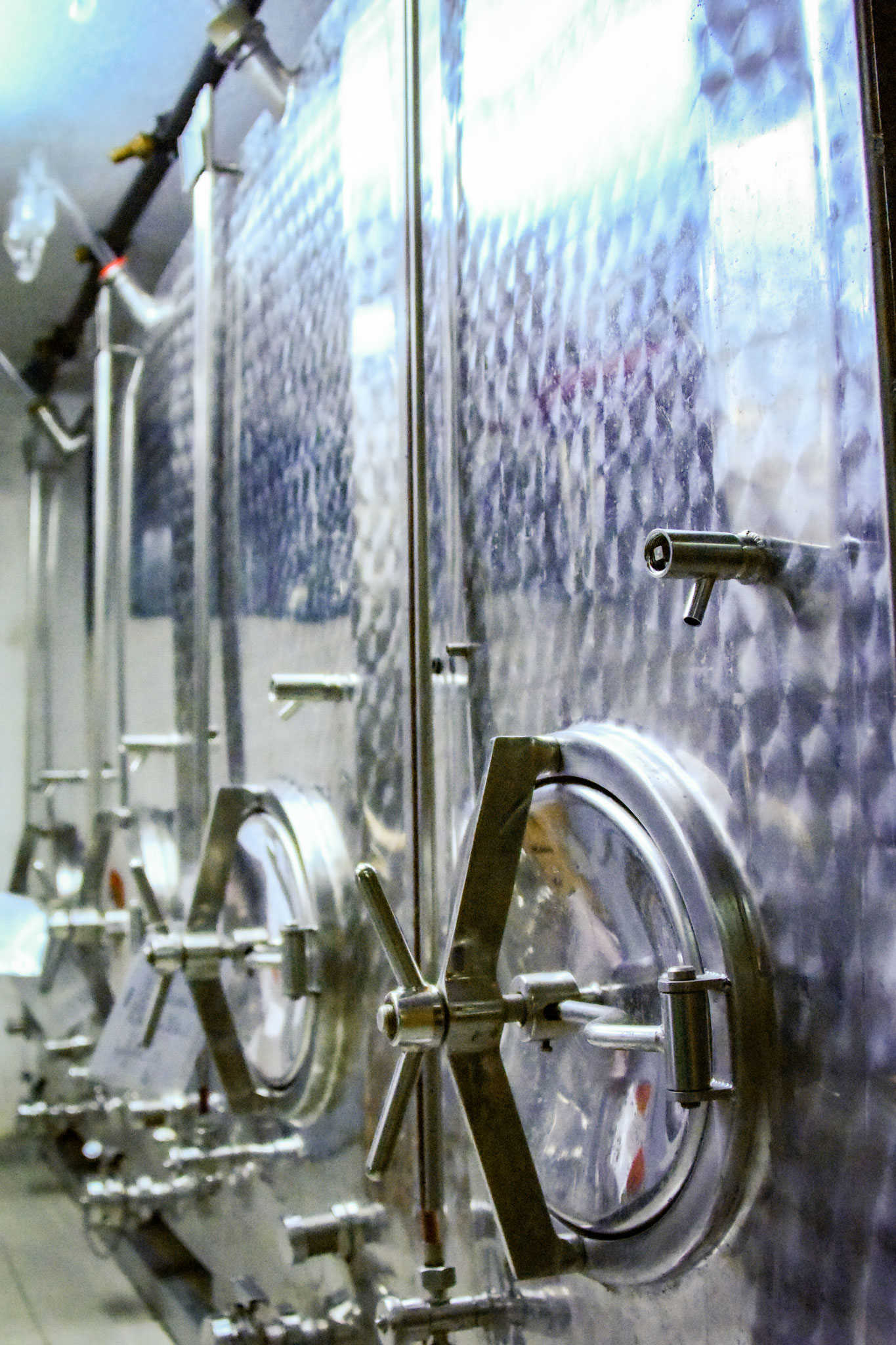 Weingut Steinberger