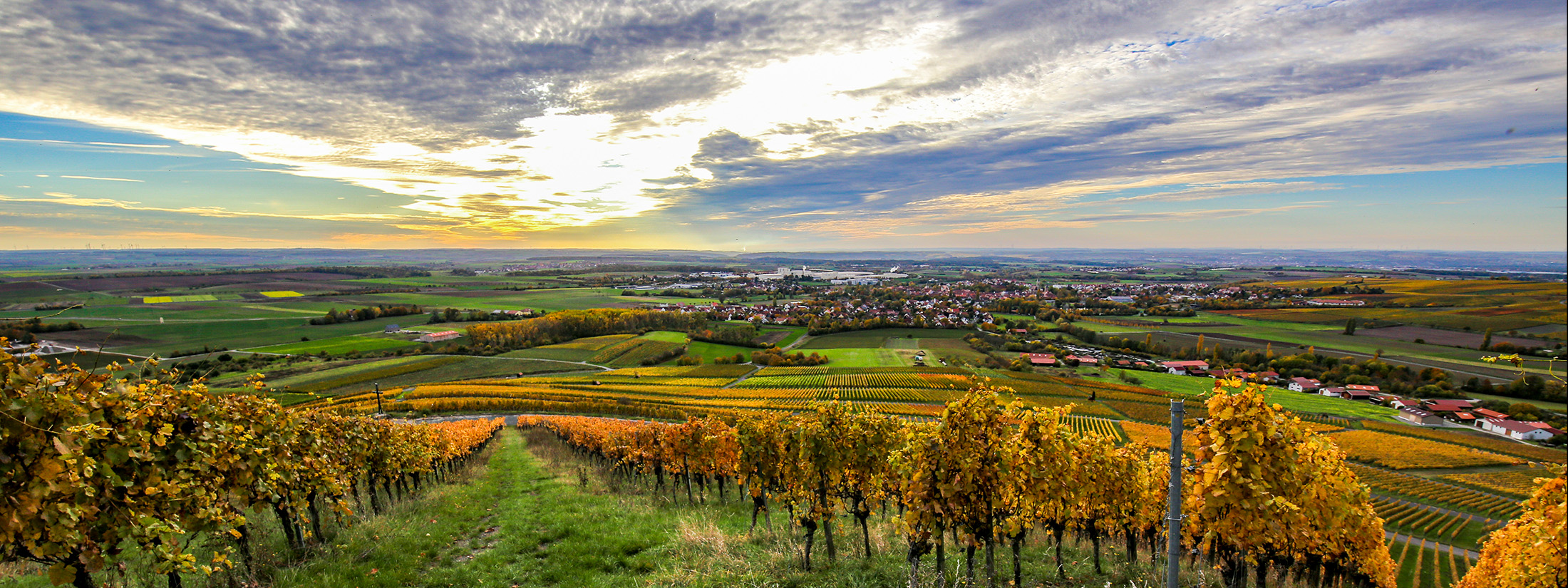 Weinbau Muth