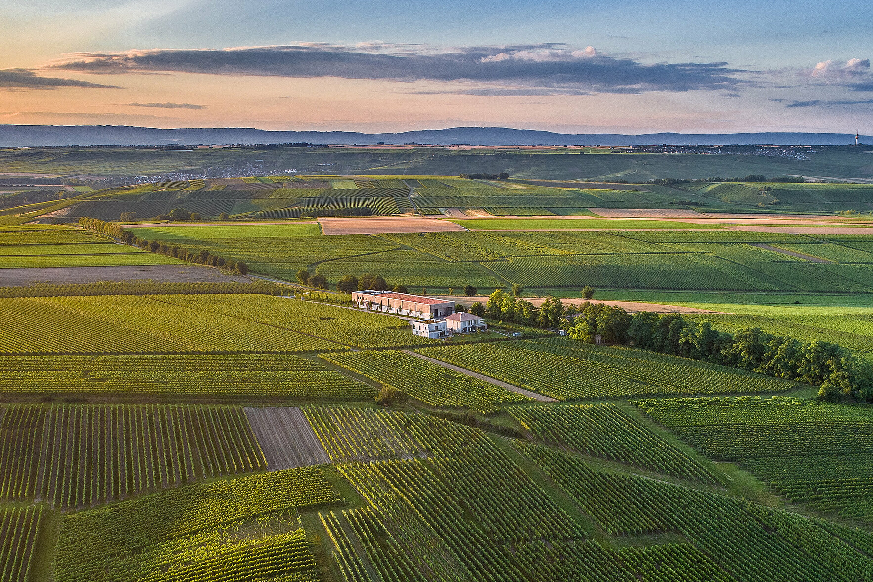 Weingut Thörle