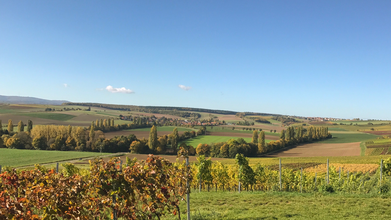 Pension Weingut Hirschhof