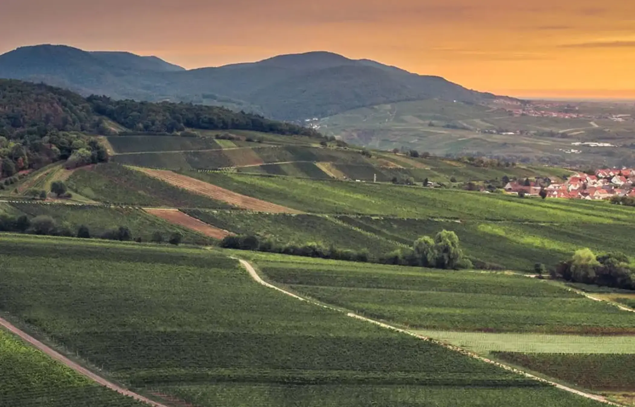Weingut Löwenthal