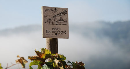 C.A. Immich-Batterieberg Weingut GmbH & Co. KG