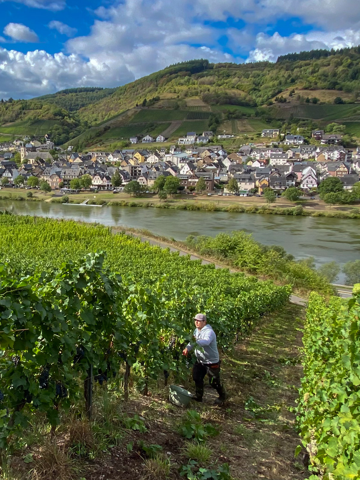 Weingut Heidhof
