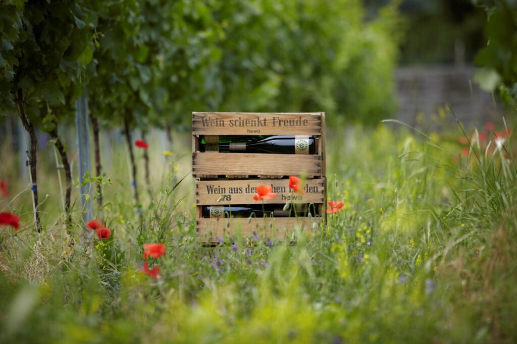Weingut Sommer