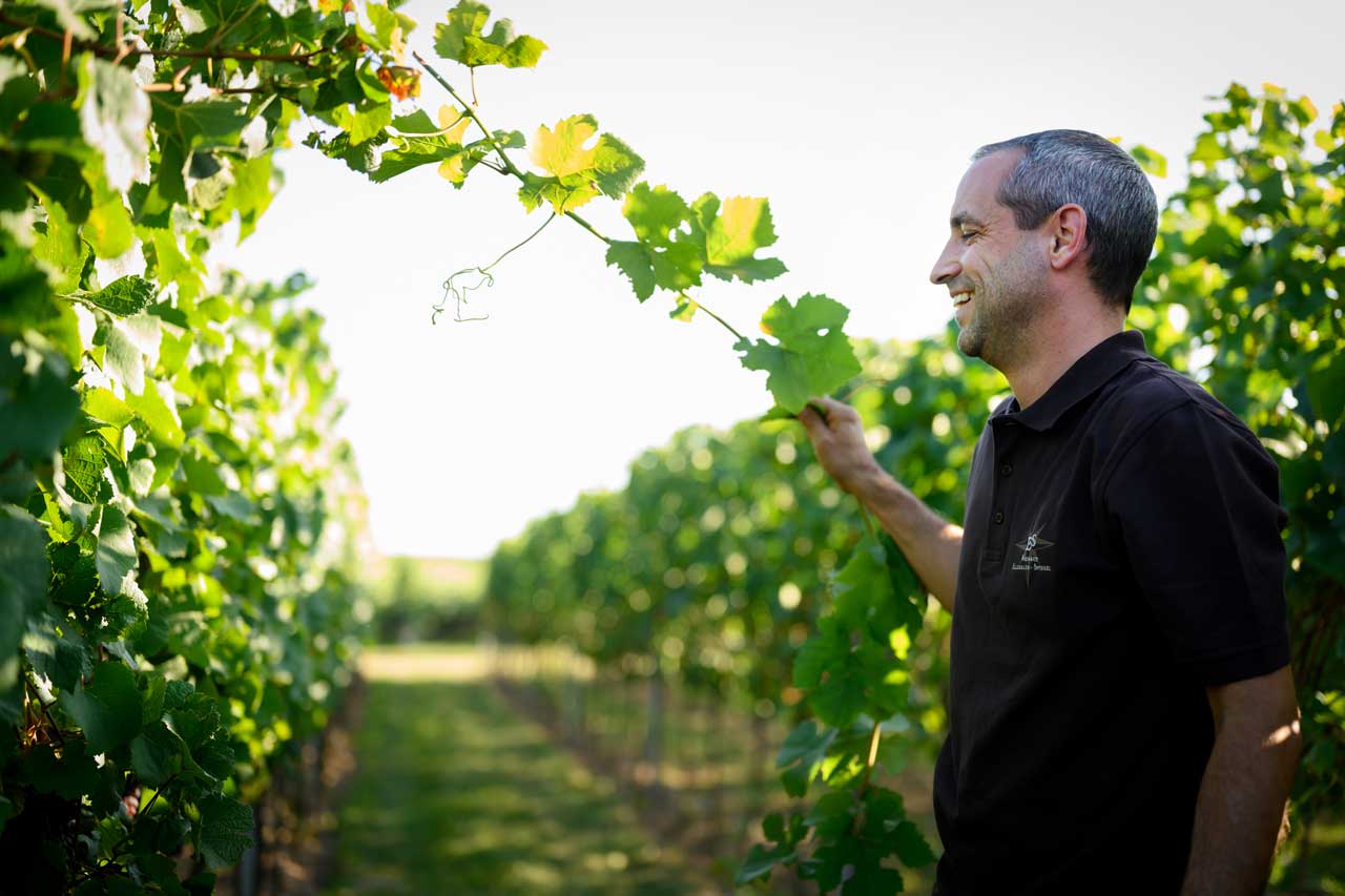 Weingut Ellermann