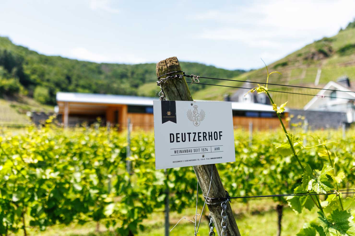 VDP.Weingut Deutzerhof