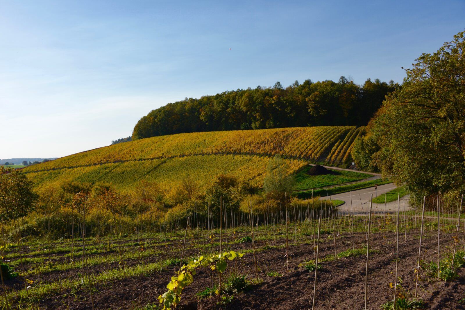 Weingüter Heitlinger & Burg Ravensburg