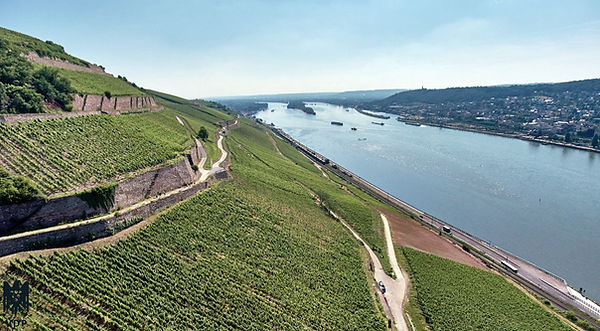Weingut Prinz GbR