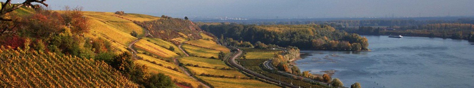 Staatliche Weinbaudomäne Oppenheim