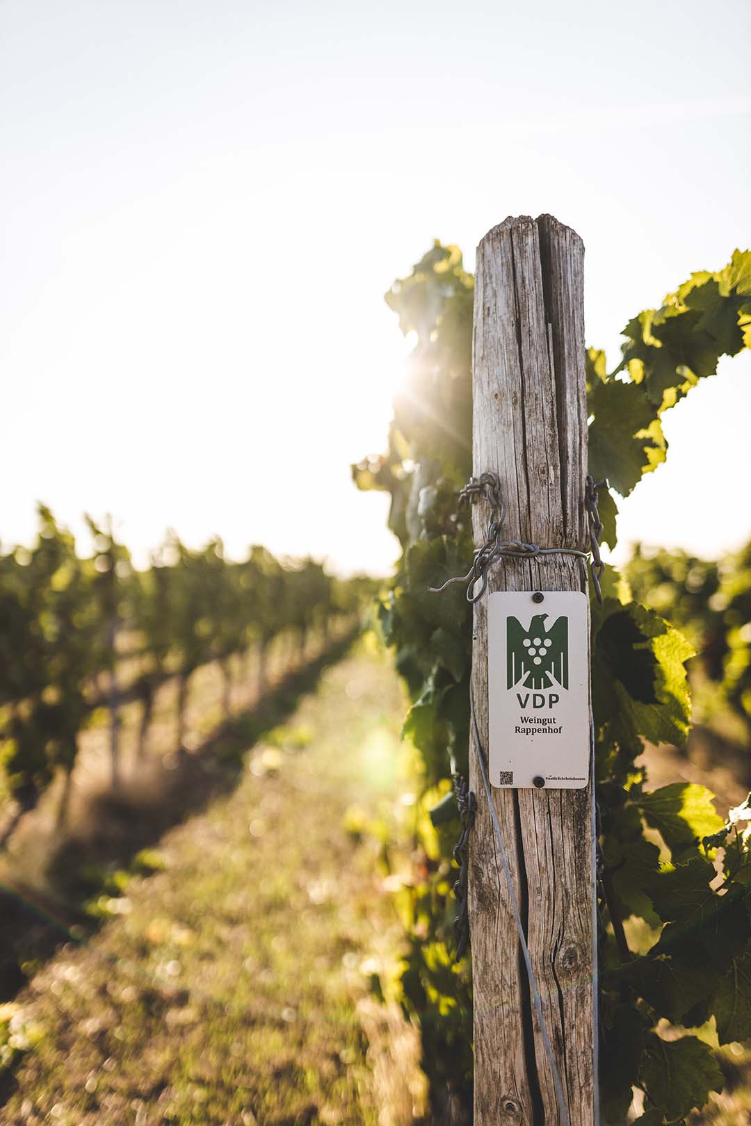 Weingut Rappenhof
