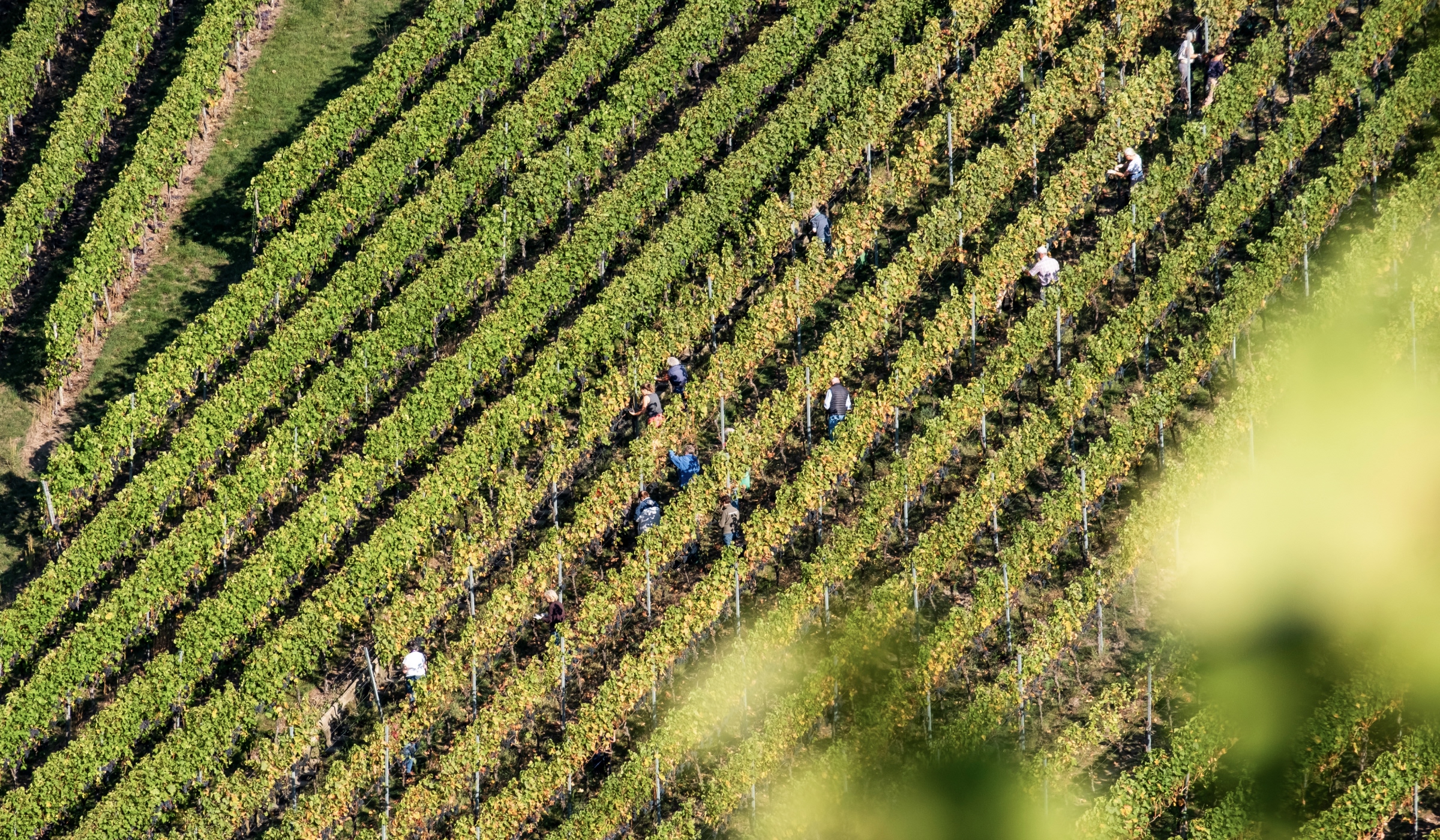 Weingut Rainer Schnaitmann
