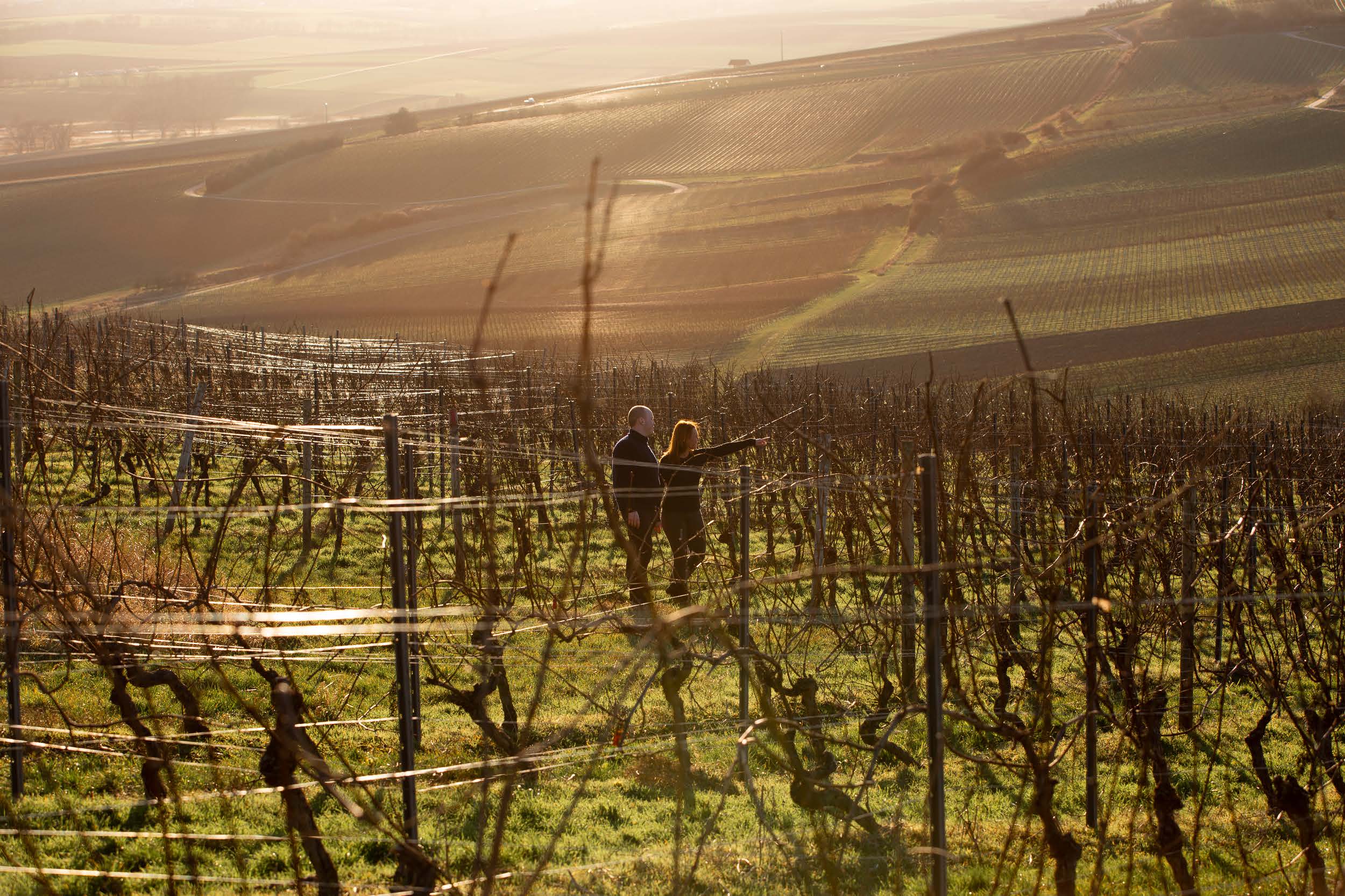 Weingut Schittler & Becker