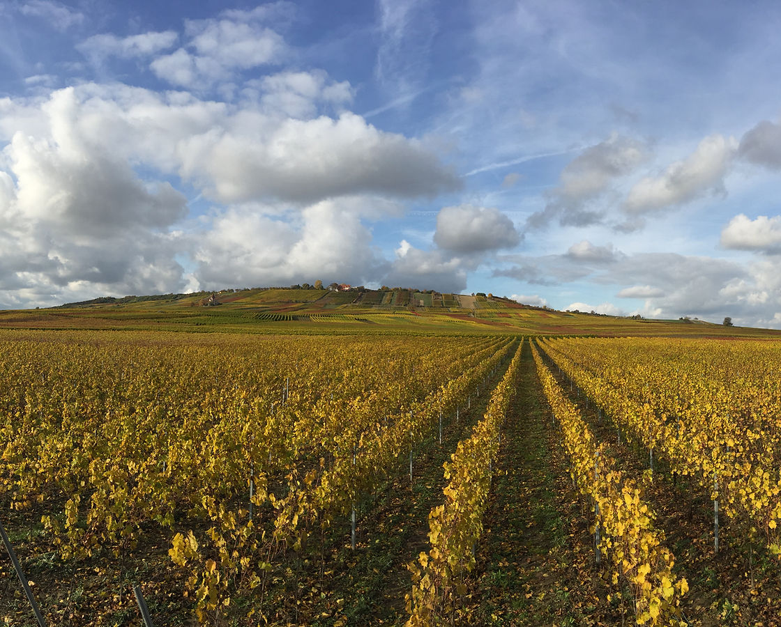 Weingut Krämer GbR