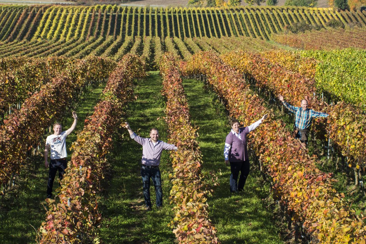 Weingut Hartmann