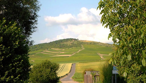 Weingut Siebenhof