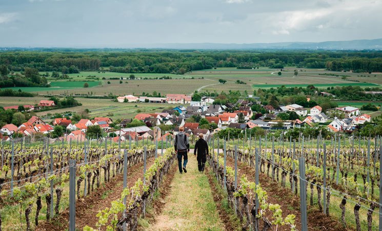 Weingut Ritzheim