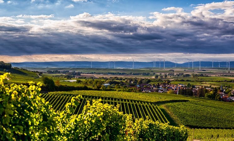 J. Trautwein feine Weine