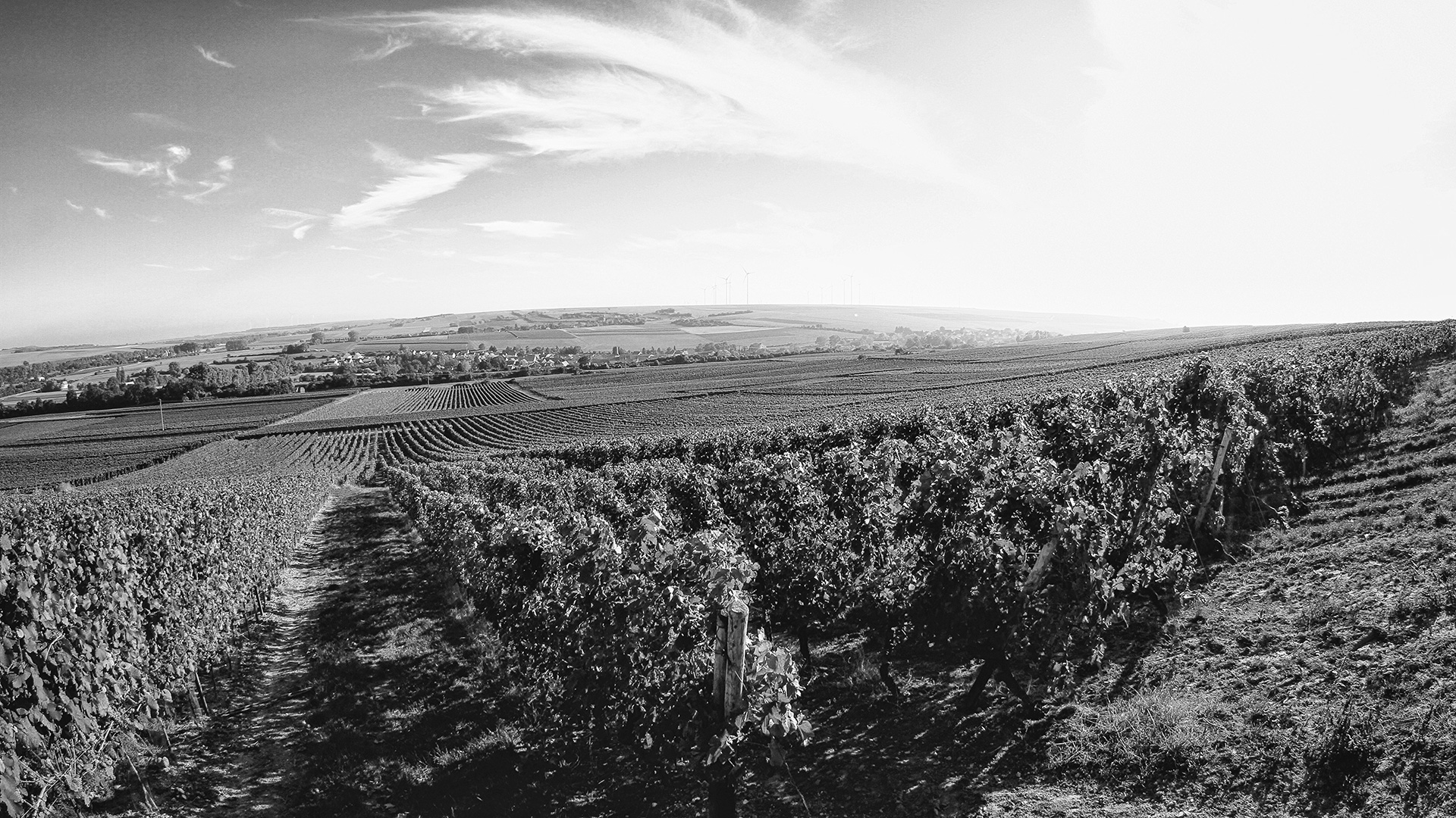 Weingut Frey GbR