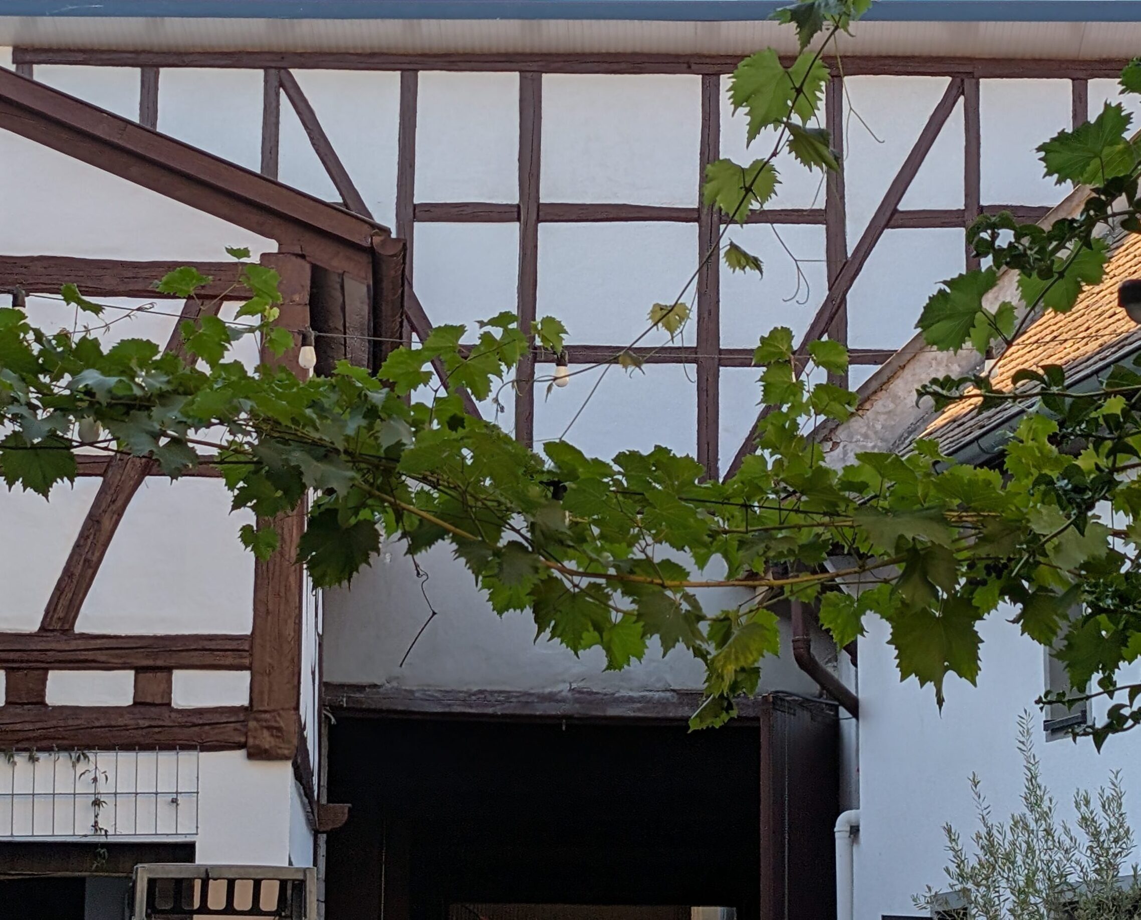 Weingut V. Eckert