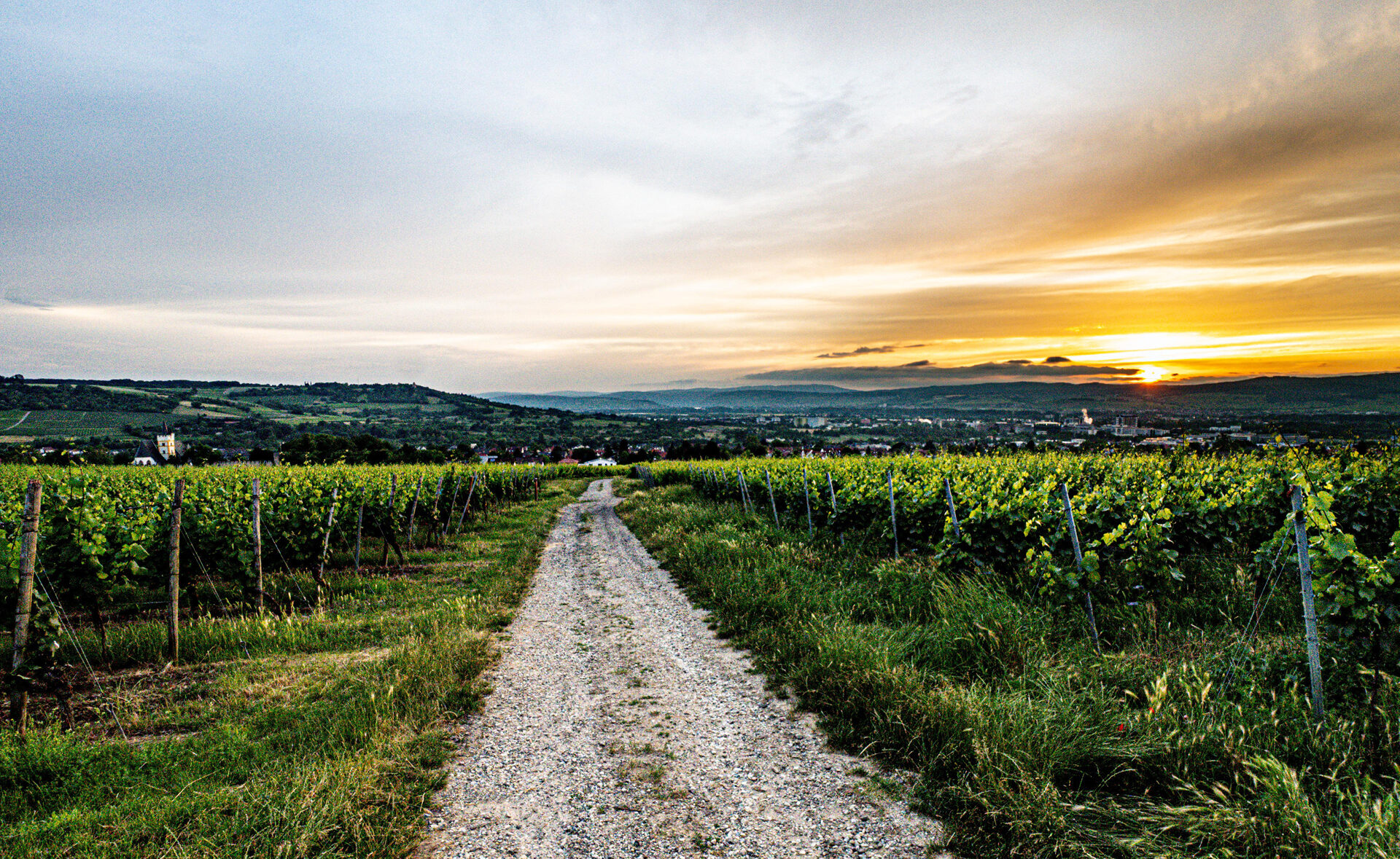 Weingut Adams