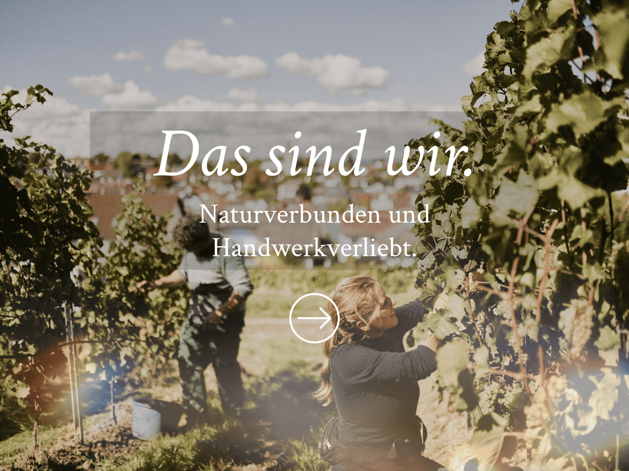 BioWeingut Gänz GbR