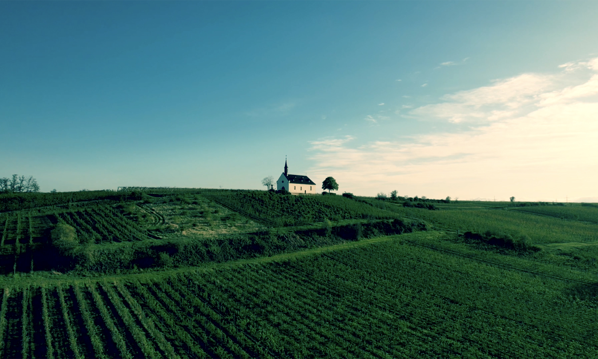 Weingut Dr. Schreiber