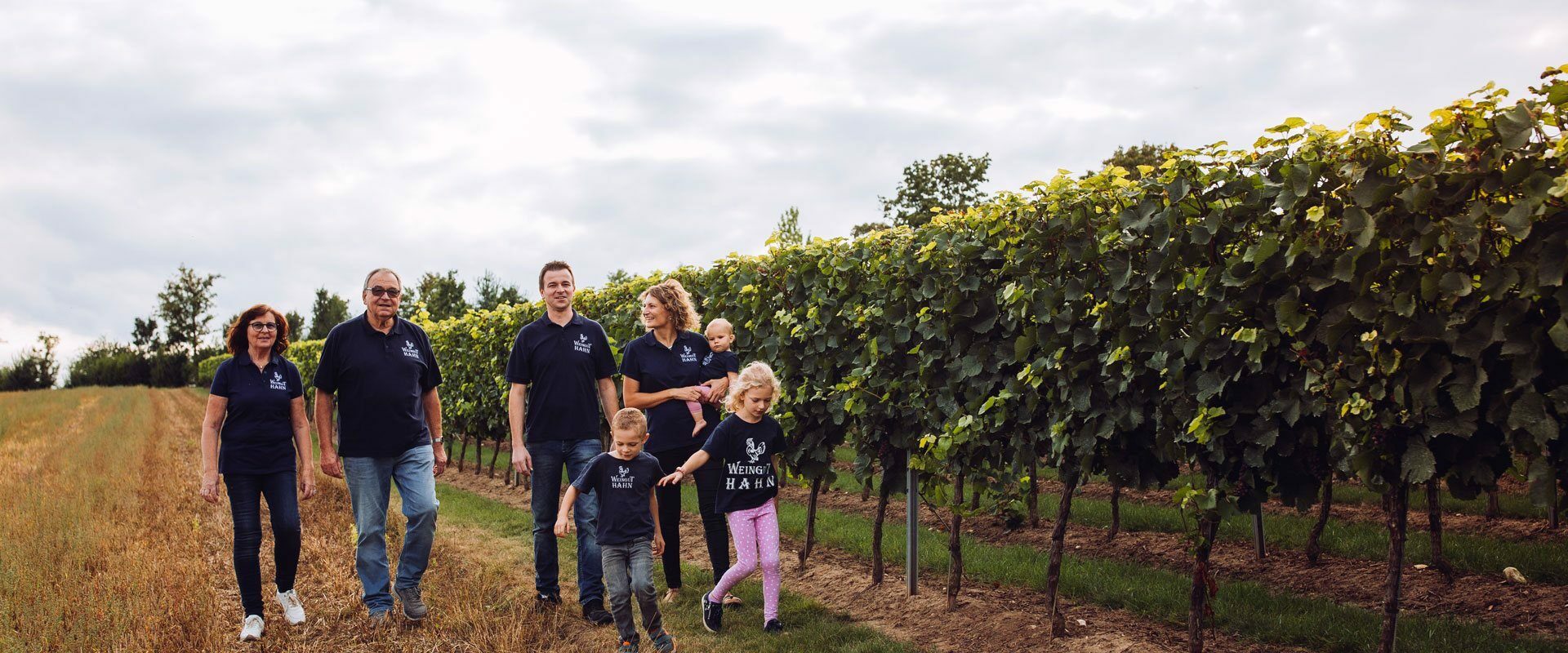 Weingut Klaus und Stefan Hahn