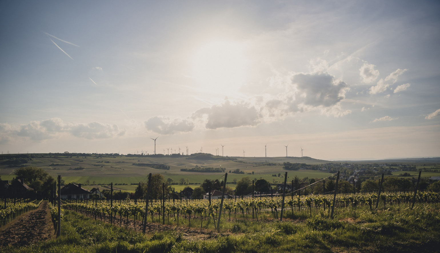 Weingut Markus Brandt