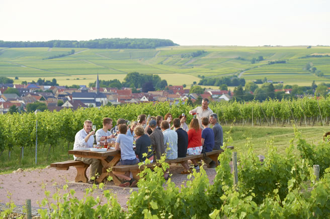 Weingut Schäfer & Sohn