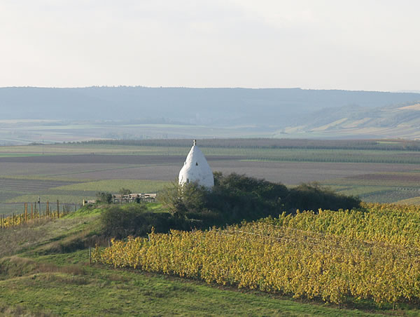 Weingut Becher
