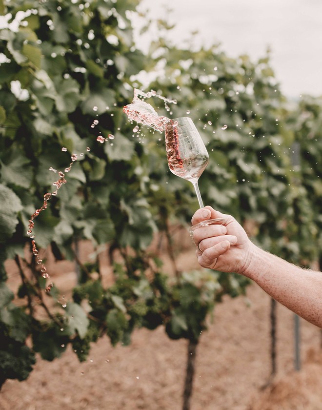 Weingut Sauer