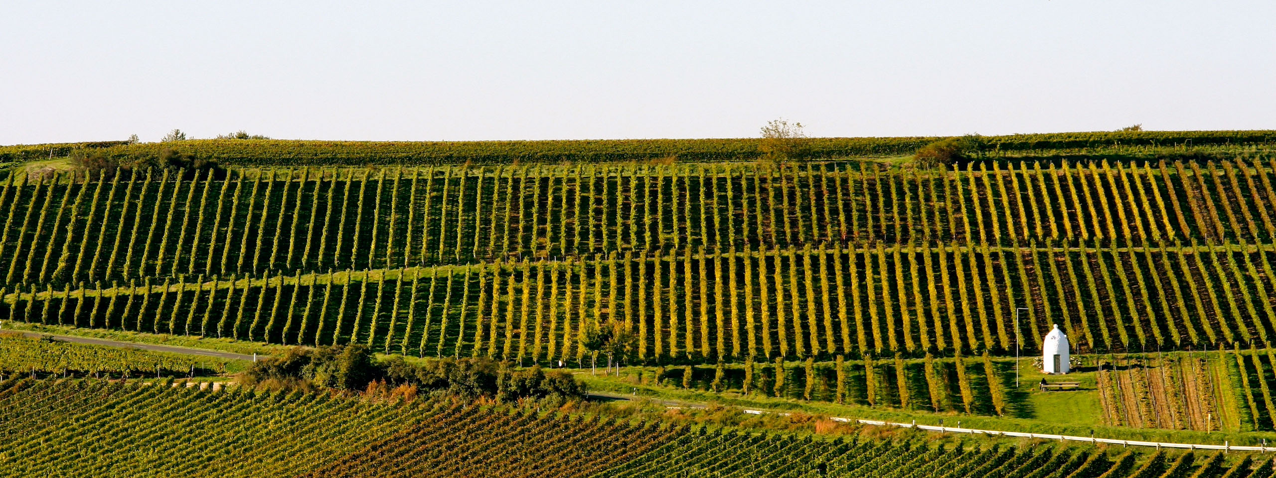 Weingut Georg Fogt