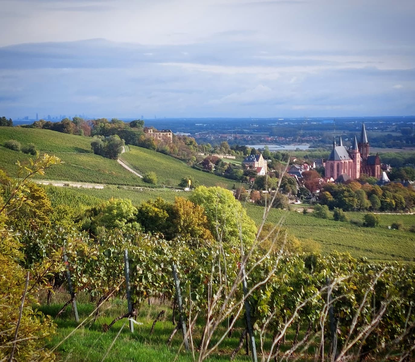 Weingut Bürgermeister Carl Koch