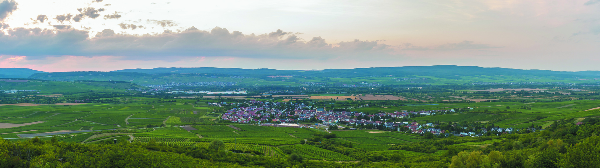 FamilienWeinGut Feser
