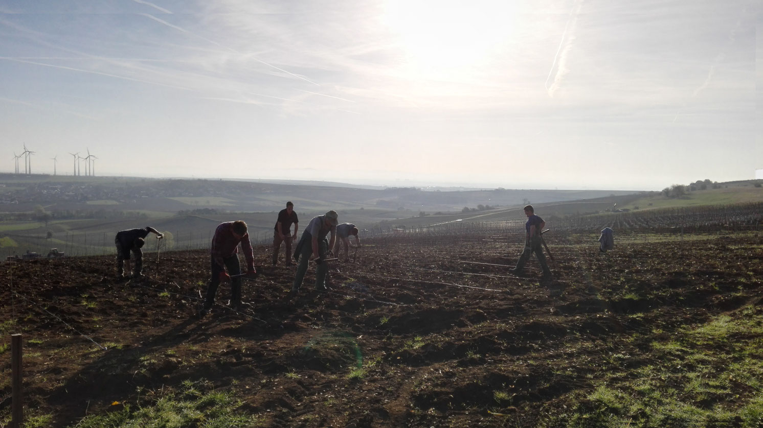 Weingut Spies GbR Uwe und David Spies
