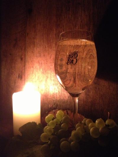 Winzerhof Biegler