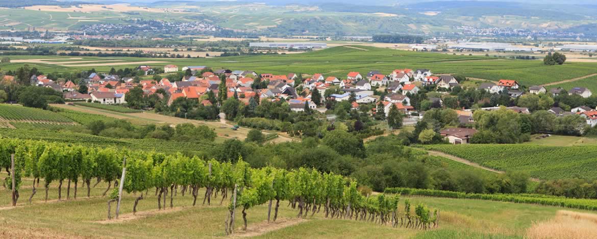 Weingut Kost
